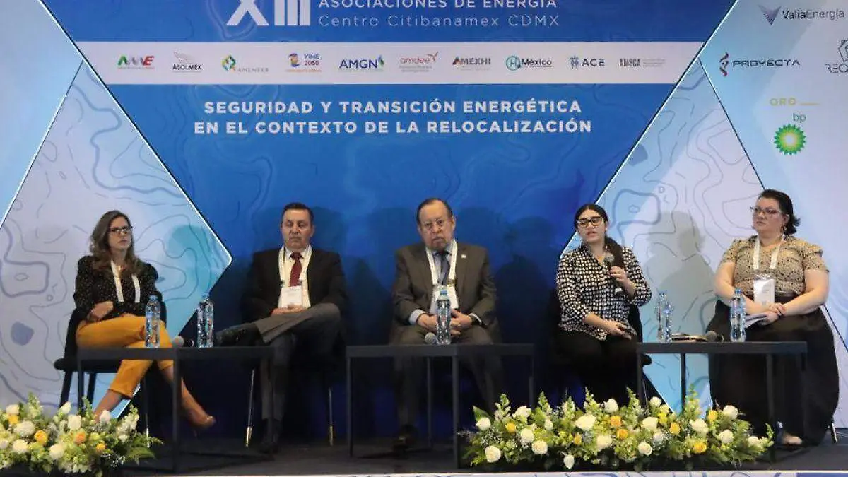 _Comercio y Competencia Internacional de la Asociación Americana de Energía Limpia